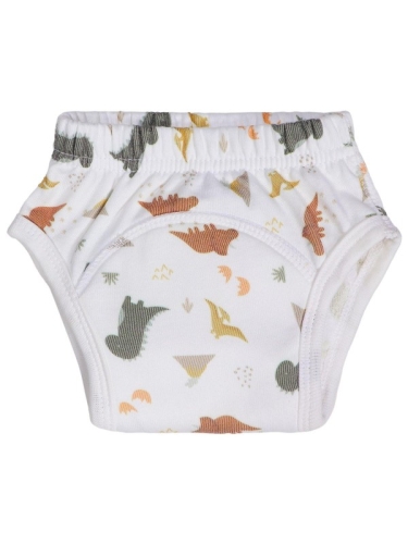 Blush &amp; Blossom - Training Pants 36m+ - Dinosaur 