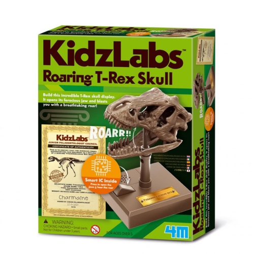 4M Kidzlabs Roaring T-Rex Skull
