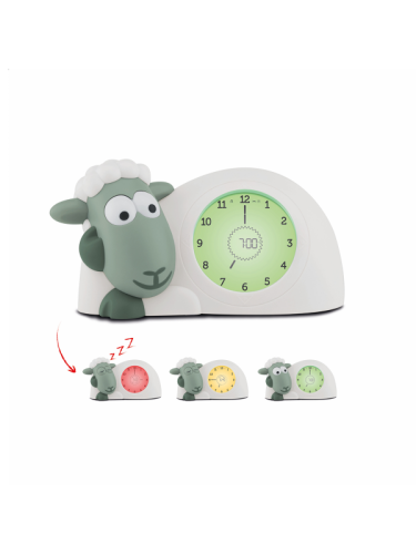 Zazu Sleeping trainer Sam Green